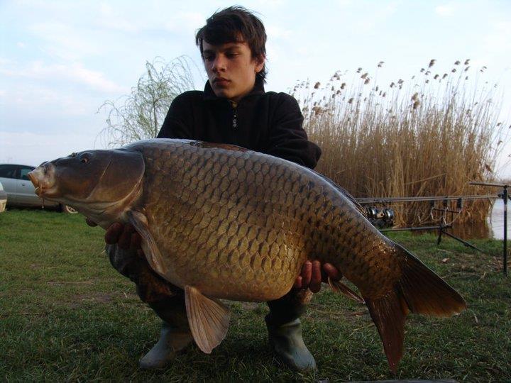 CONCURS LIKE-URI  - VOT PE FACEBOOK  - Mario Iorgulescu
Tancabesti